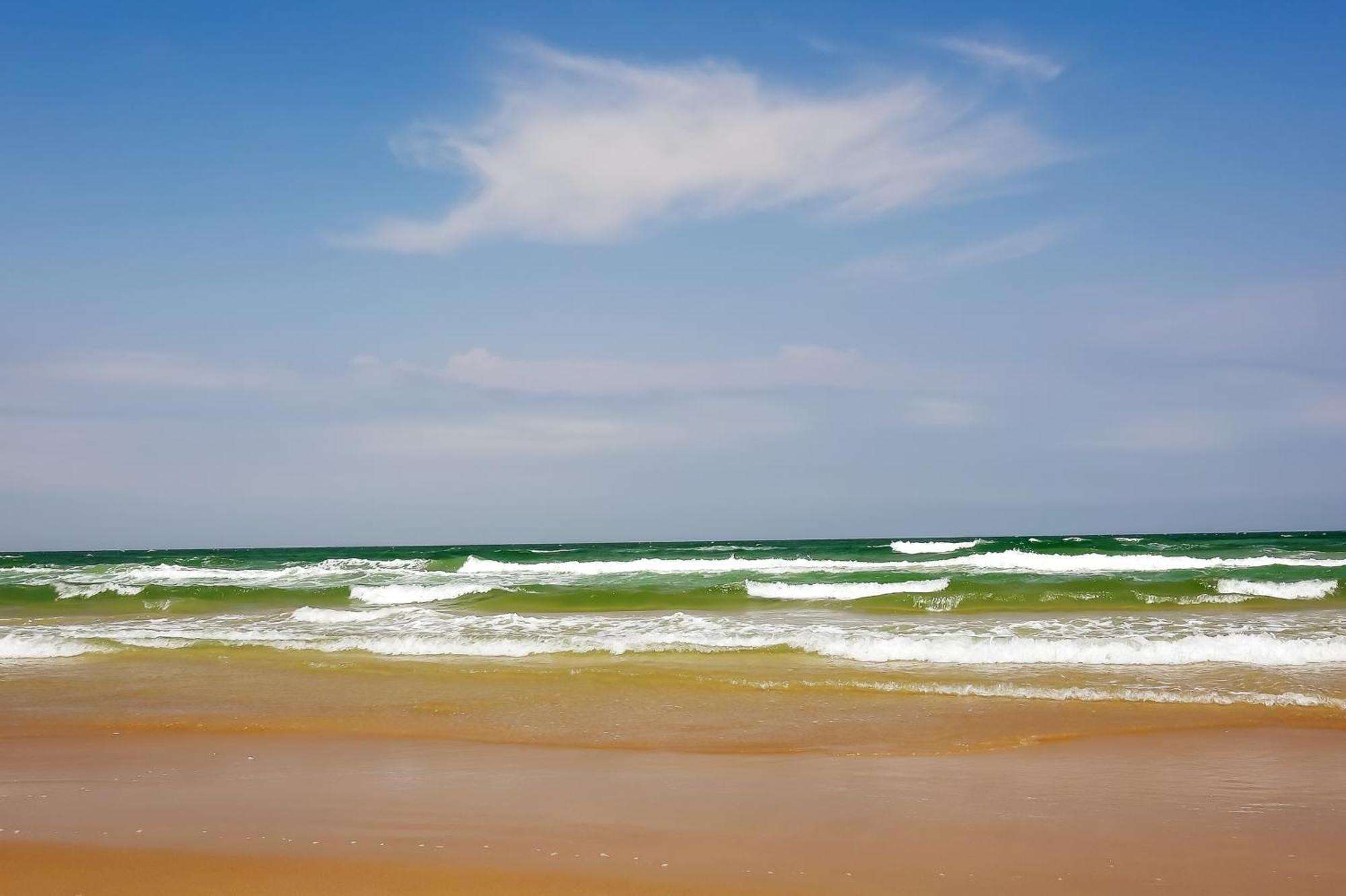 סאות' פאדרה איילנד Surfside Condos חדר תמונה
