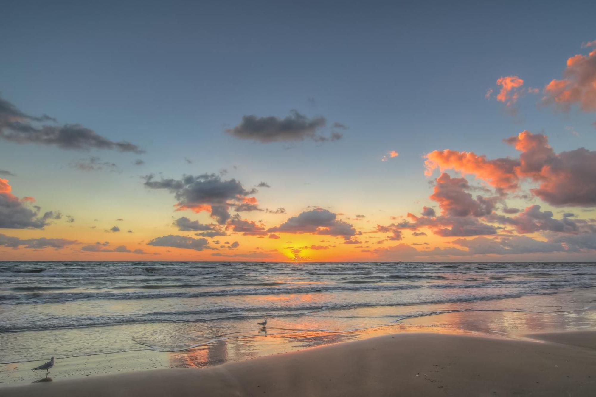 סאות' פאדרה איילנד Surfside Condos חדר תמונה